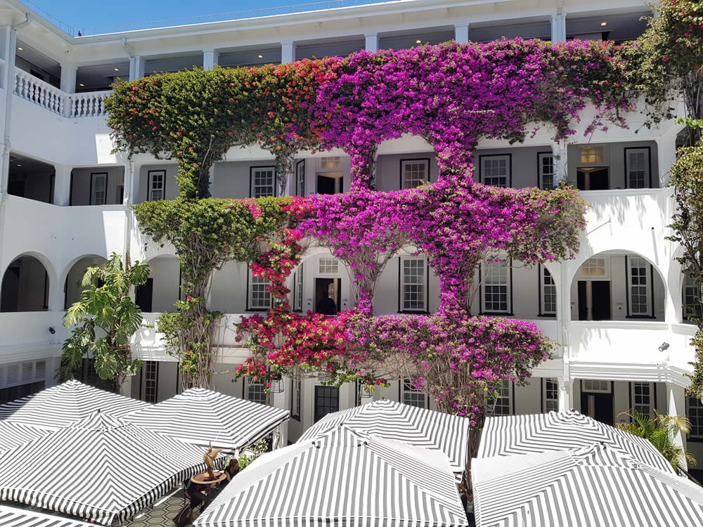 The Shoreditch at The Winchester Hotel - Kit Heathcock- The Courtyard Bougainvillea