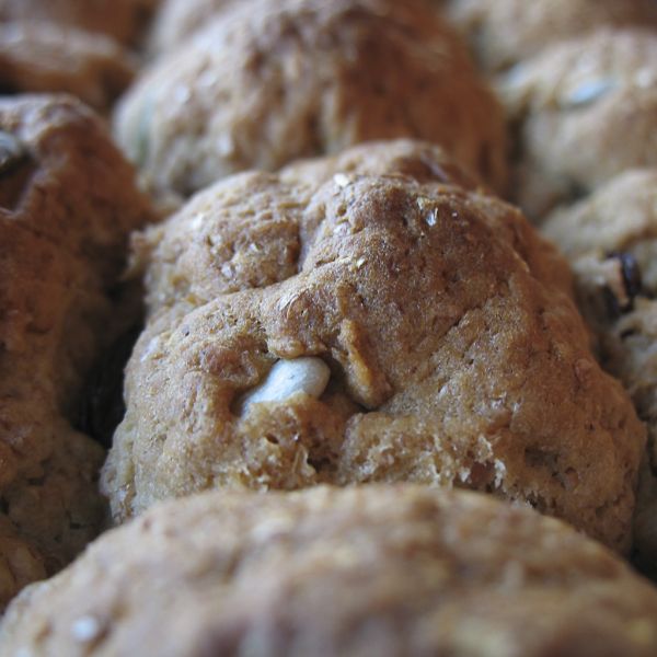 South African Rusks - Delicious Homemade Snacks